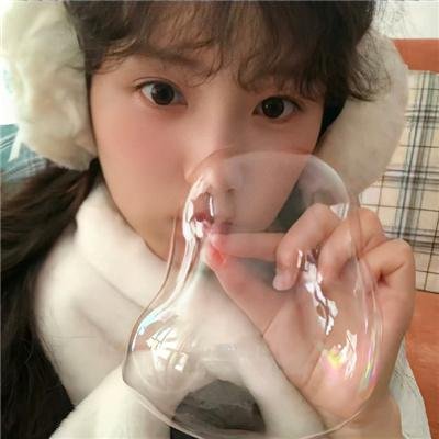 企鹅俱乐部特辑：海象节快乐