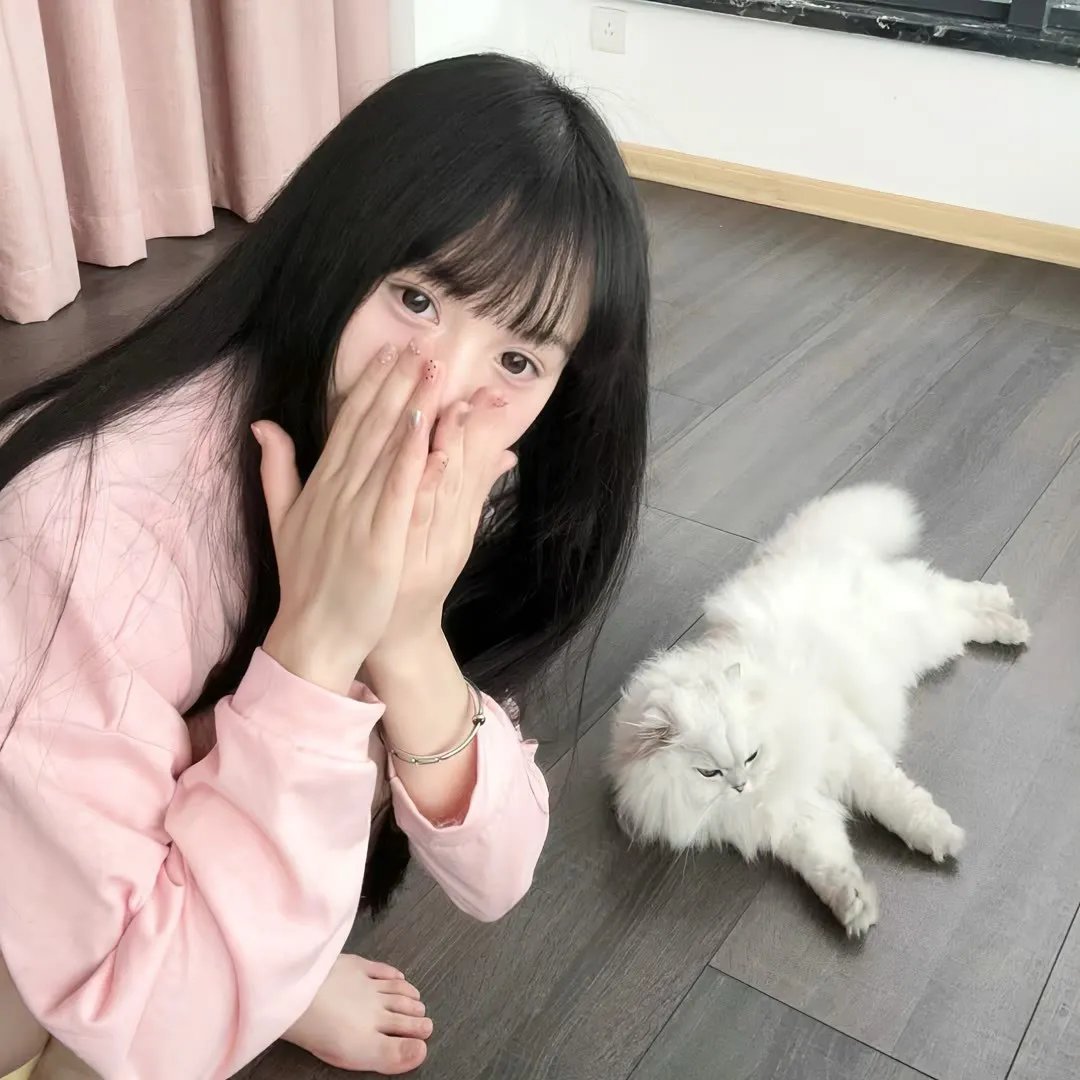 老爷坦克少爷兵